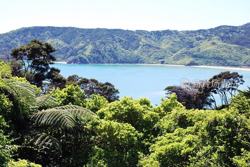 Wainui湾，Abel Tasman国家公园，塔卡，金湾，新西兰